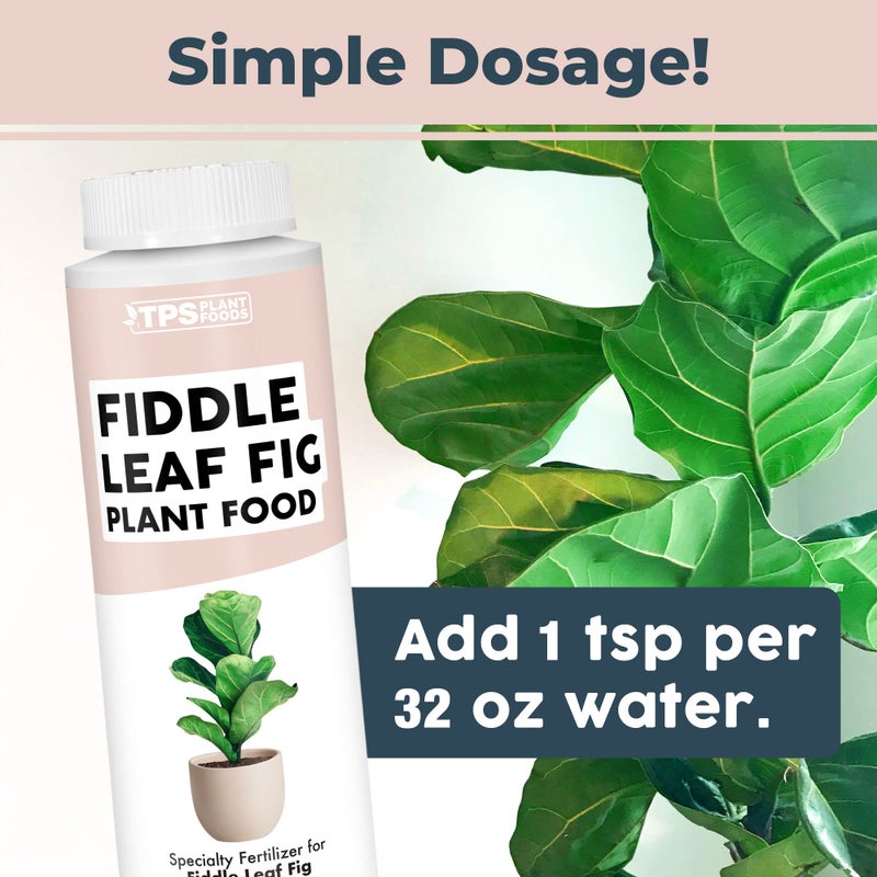 TPS NUTRIENTS Fiddle Leaf Fig Plant Food for All Fig and Other Ficus Trees, Liquid Houseplant Fertilizer 8 oz (250mL) - Image 4